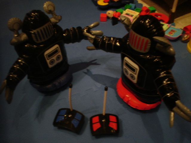 Picture of Robot Wrestler